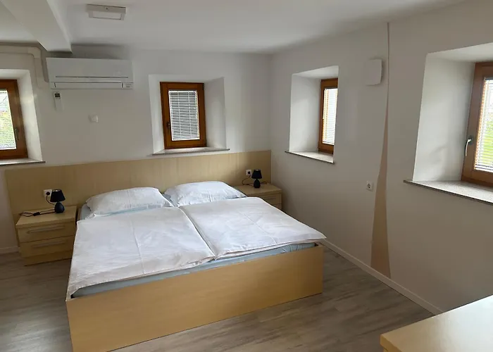 Domacija Vodnik & Apartments
